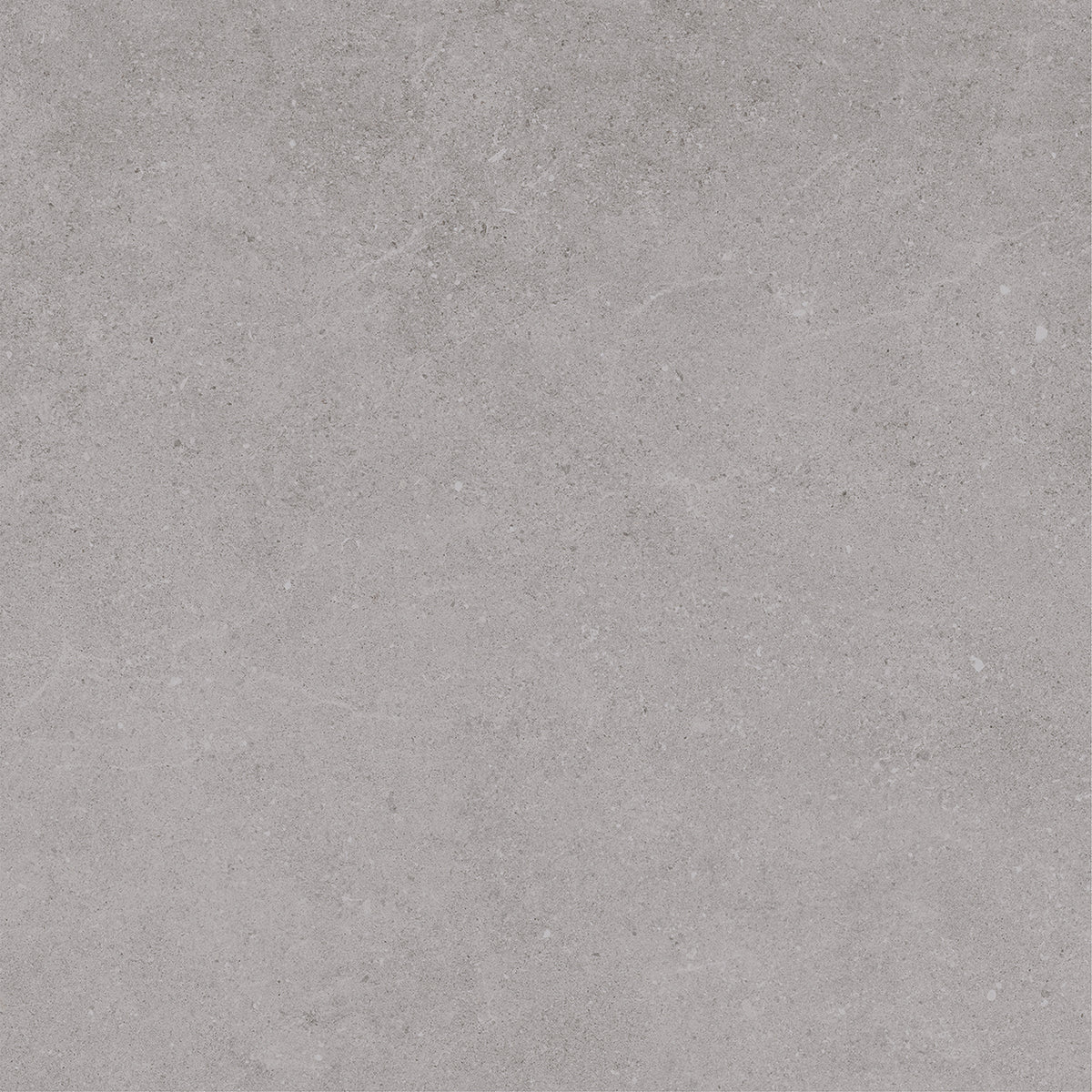 Padova Grey | 120x120 cm | Mat Grijs Betonlook Tegel