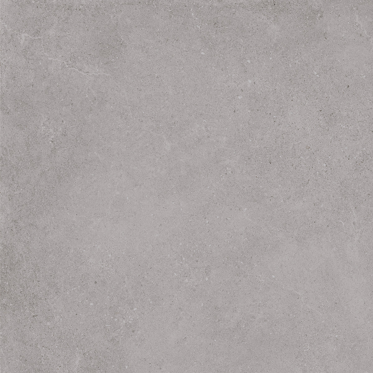 Padova Grey | 120x120 cm | Mat Grijs Betonlook Tegel