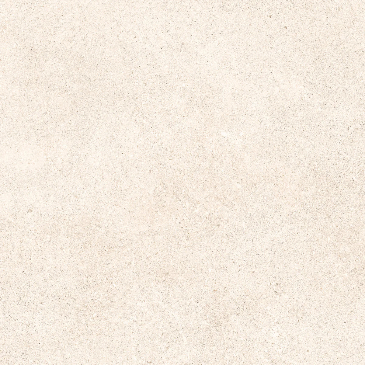 Padova Bone | 120x120 cm | Mat Beige Betonlook Tegel