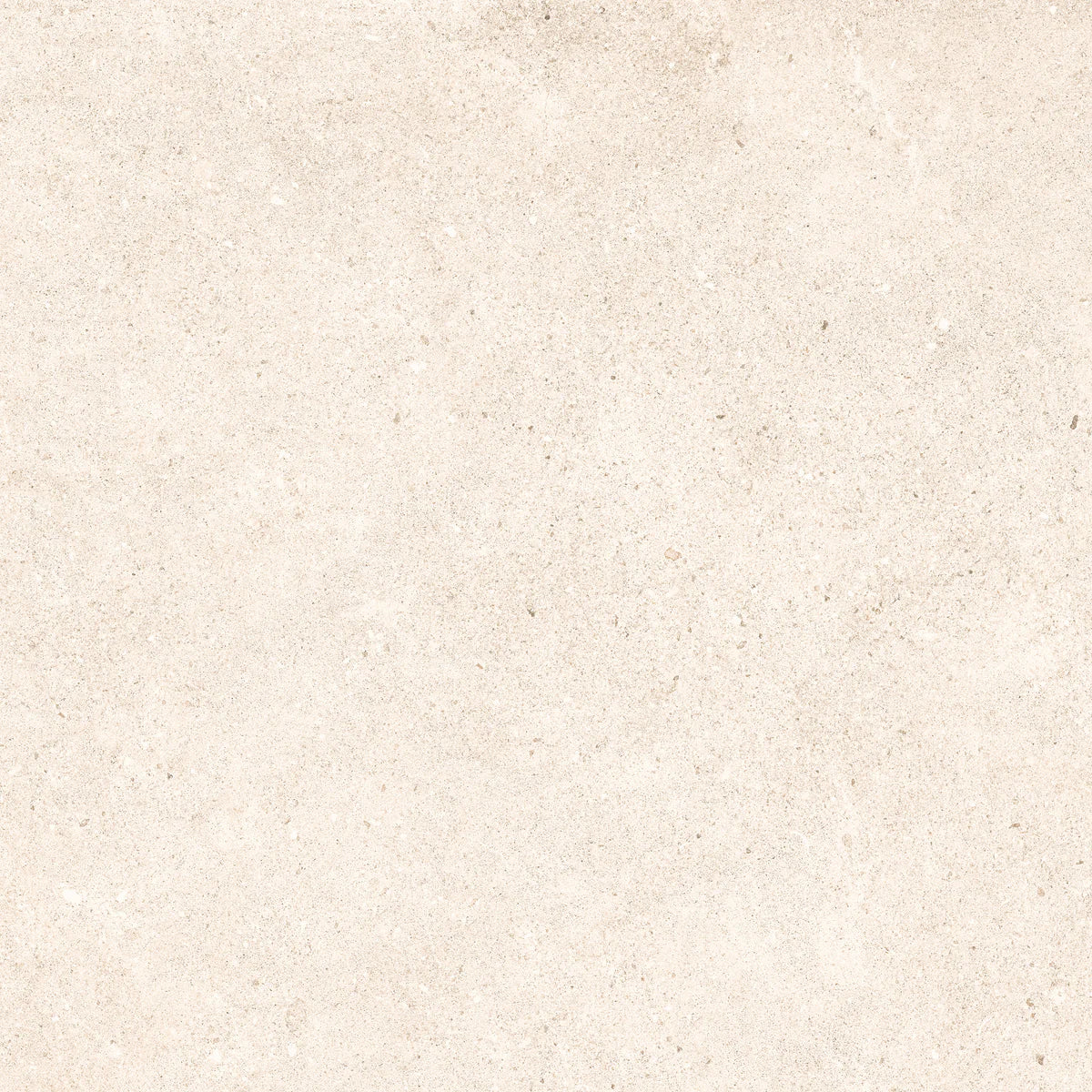 Padova Bone | 120x120 cm | Mat Beige Betonlook Tegel