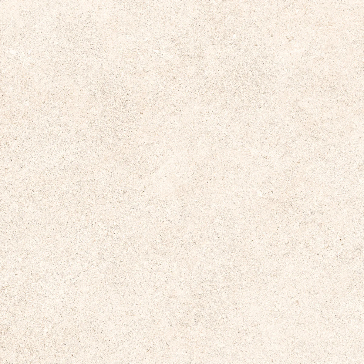 Padova Bone | 120x120 cm | Mat Beige Betonlook Tegel