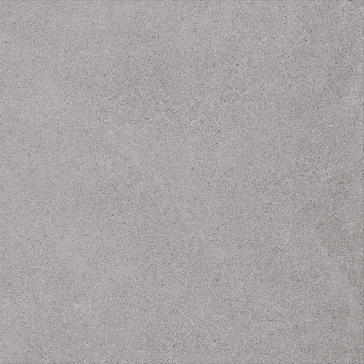 Padova Grey | 120x120 cm | Mat Grijs Betonlook Tegel