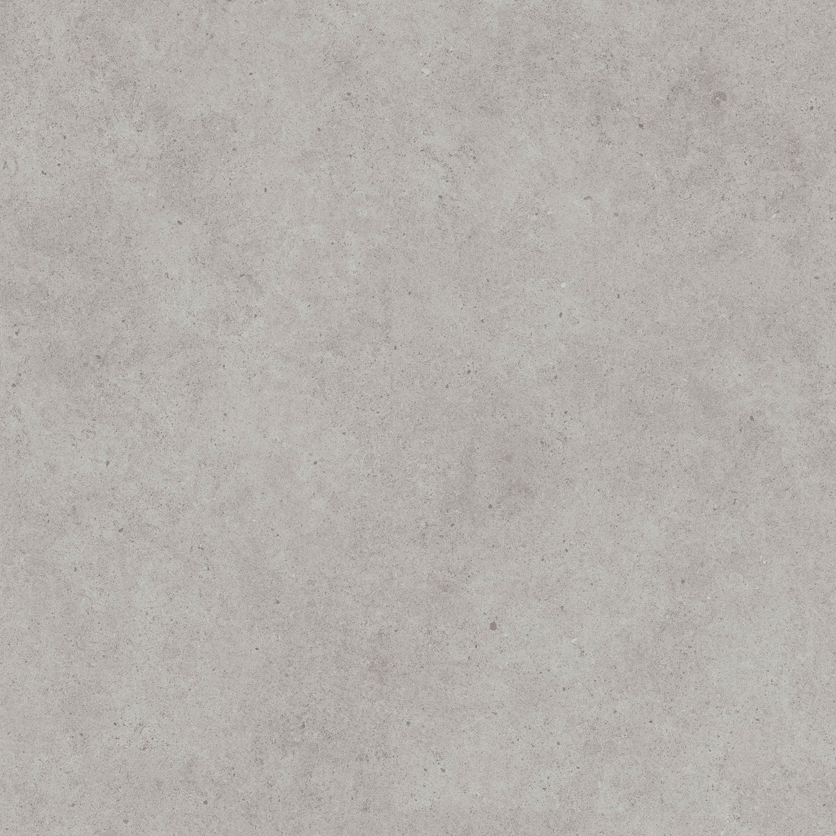 Integra Light Grey | Tegel 120x120cm | Mat Grijs Betonlook