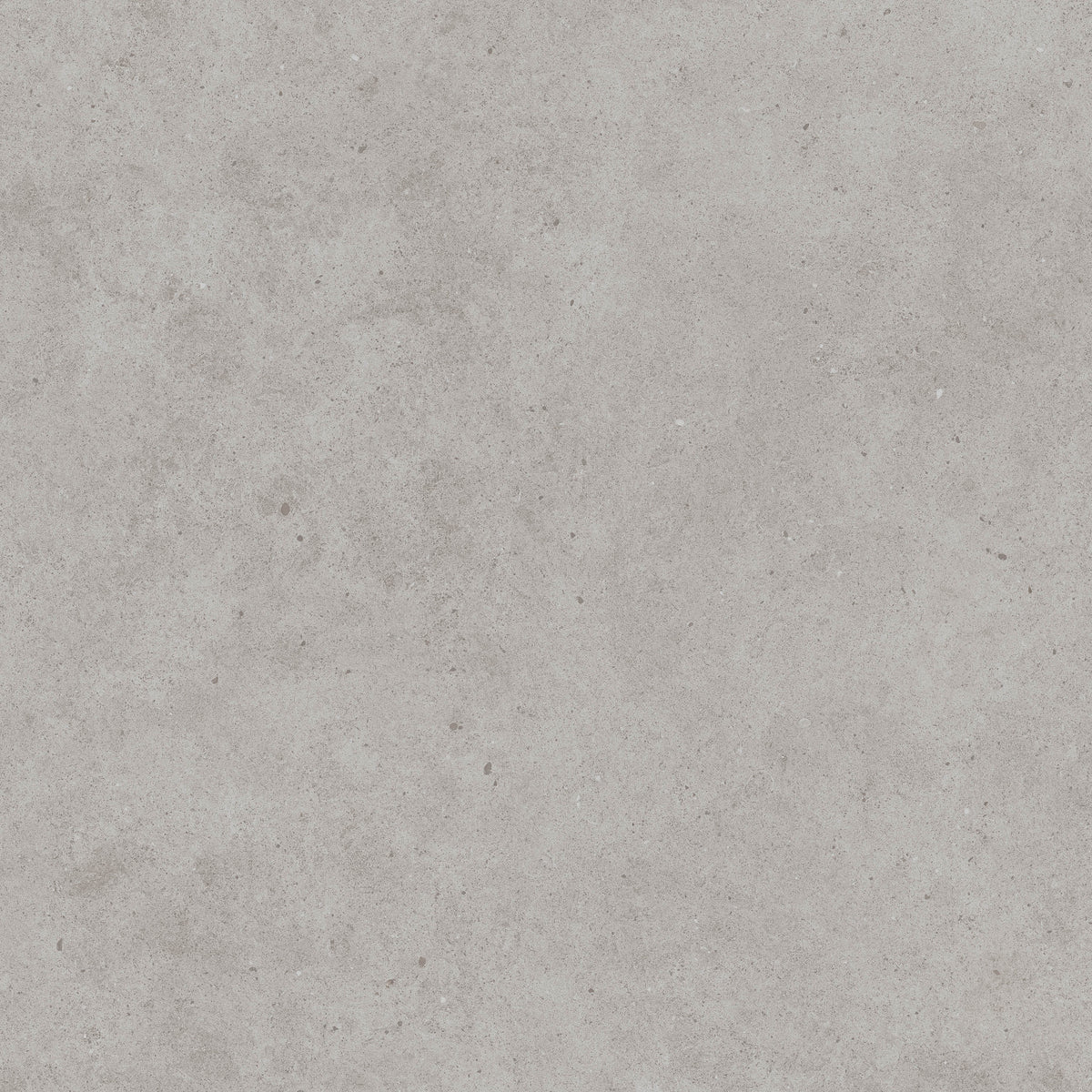 Integra Light Grey | Tegel 120x120cm | Mat Grijs Betonlook